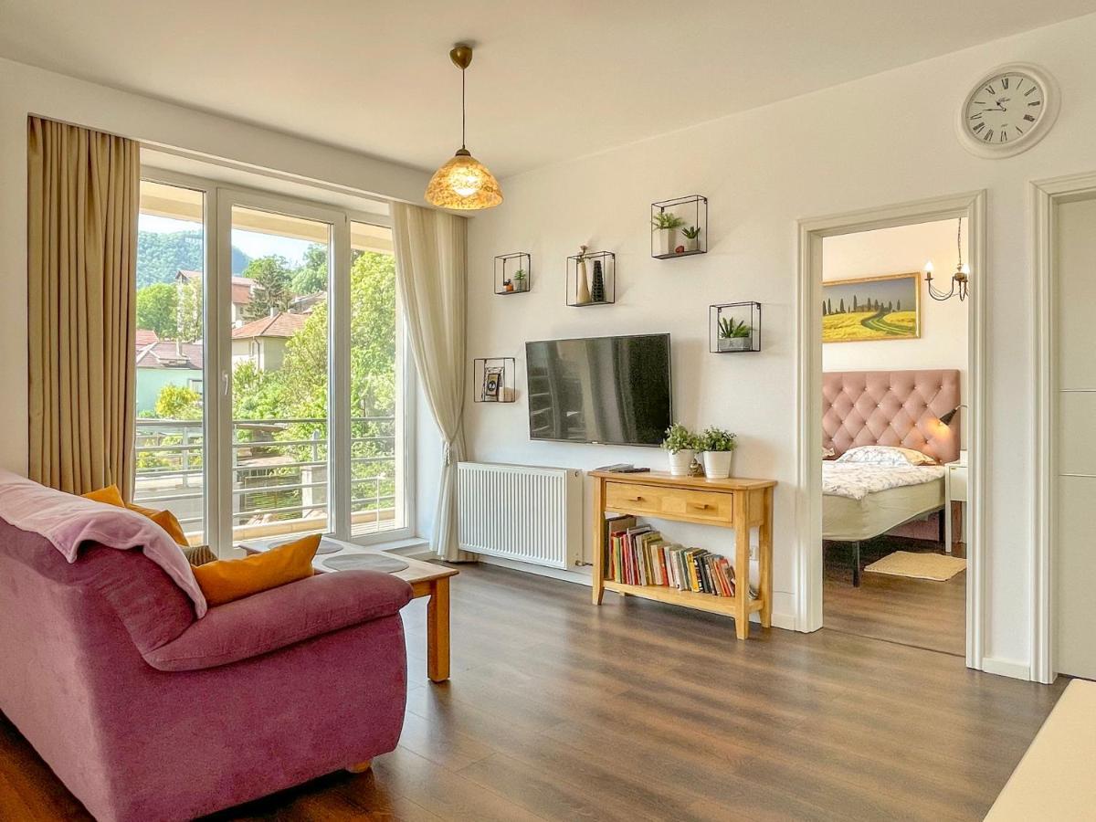 Central Premium Apartment ブラショフ エクステリア 写真